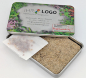 Sprossen Anzuchtsdose 